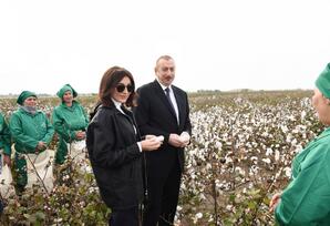 Prezident İlham Əliyevin portret cizgiləri: Müdrik lider, böyük strateq, qalib sərkərdə