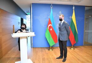 Sahibə Qafarova Litvanın xarici işlər naziri Gabrielius Landsbergislə görüşüb