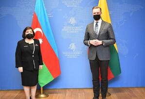 Sahibə Qafarova Litvanın xarici işlər naziri Gabrielius Landsbergislə görüşüb