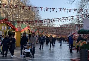 "Torpaq əlimdə, bahar ürəyimdə" yarmarkası... - FOTOREPORTAJ