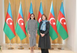 Mehriban Əliyeva Böyük Britaniya Baş nazirinin Azərbaycan üzrə ticarət elçisi ilə görüşüb - FOTOLAR