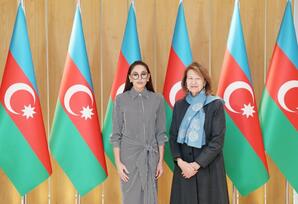 Mehriban Əliyeva Böyük Britaniya Baş nazirinin Azərbaycan üzrə ticarət elçisi ilə görüşüb - FOTOLAR