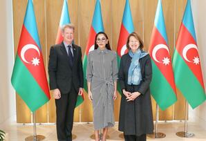 Mehriban Əliyeva Böyük Britaniya Baş nazirinin Azərbaycan üzrə ticarət elçisi ilə görüşüb - FOTOLAR