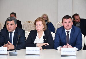 “Gender siyasətinin təşviqi-milli prioritetlər” mövzusunda tədbir keçirilib - FOTOLAR