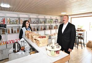 Prezident İlham Əliyev Ramana qəsəbəsində görülən abadlıq işləri ilə tanış olub - FOTOLAR