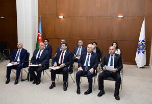 Yeni Azərbaycan Partiyası və Çin Kommunist Partiyası arasında videoformatda görüş keçirilib - FOTOLAR