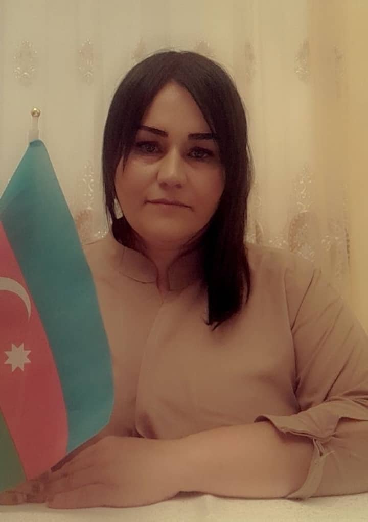 Radikal müxalifətin milli xəyanəti ŞƏRH