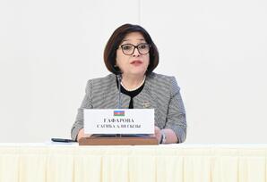 Milli Məclisin sədri mətbuat konfransında iştirak edib - FOTOLAR