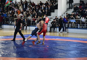 YAP-ın 30 illiyinə həsr olunmuş sərbəst və Yunan-Roma güləşi üzrə turnirin final mərhələsi keçirilib - FOTOLAR