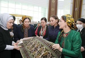 Mehriban Əliyeva təsviri və dekorativ sənət əsərlərindən ibarət sərgilərlə tanış olub