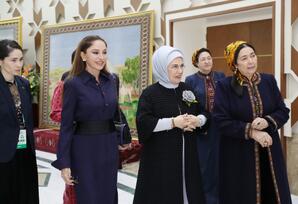 Mehriban Əliyeva təsviri və dekorativ sənət əsərlərindən ibarət sərgilərlə tanış olub