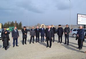 Mingəçevirdə ağacəkmə kampaniyası keçirildi FOTOLAR
