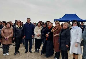 Agentliyin təşkilatçılığı ilə ağacəkmə aksiyası keçirilib FOTOLAR
