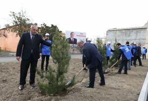YAP Tərtər rayon təşkilatı “Heydər Əliyev ili” ilə bağlı tədbirlərini davam etdirir FOTOLAR