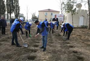 YAP Tərtər rayon təşkilatı “Heydər Əliyev ili” ilə bağlı tədbirlərini davam etdirir FOTOLAR