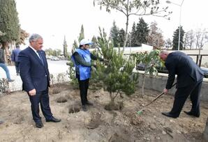 YAP Tərtər rayon təşkilatı “Heydər Əliyev ili” ilə bağlı tədbirlərini davam etdirir FOTOLAR