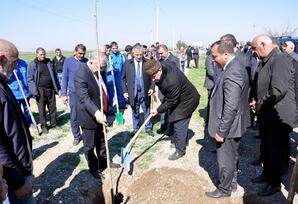 Ağdamda növbəti ağacəkmə aksiyası keçirilib FOTOLAR
