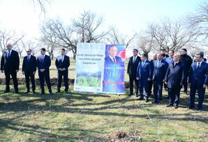 “Heydər Əliyev İli” çərçivəsində Ağstafada ağacəkmə aksiyası keçirilib FOTOLAR