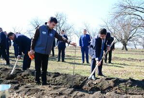“Heydər Əliyev İli” çərçivəsində Ağstafada ağacəkmə aksiyası keçirilib FOTOLAR