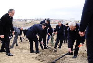 Naftalanda “Heydər Əliyev ili” çərçivəsində ağacəkmə aksiyası keçirilib FOTOLAR