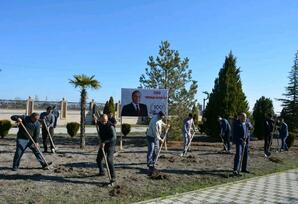 Tərtərdə “Heydər Əliyev İli” çərçivəsində növbəti iməcilik keçirilib FOTOLAR