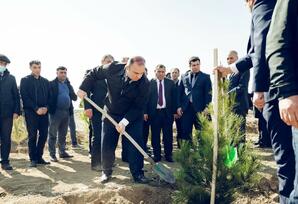 Kəlbəcər rayonunda ağacəkmə aksiyası keçirilib FOTOLAR