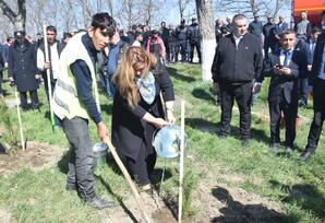 Qubada "Heydər Əliyev İli" çərçivəsində ağacəkmə aksiyası keçirilib FOTOLAR