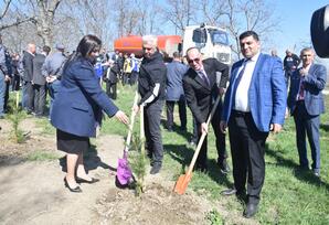 Qubada "Heydər Əliyev İli" çərçivəsində ağacəkmə aksiyası keçirilib FOTOLAR