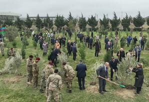 Abşeron rayonunda “Heydər Əliyev İli” çərçivəsində ağacəkmə aksiyası keçirilib FOTOLAR