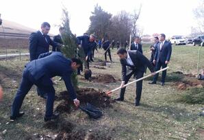 Gədəbəydə “Heydər Əliyev İli” çərçivəsində iməcilik keçirilib FOTOLAR