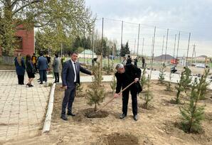 Samuxda “Heydər Əliyev İli” çərçivəsində növbəti iməcilik keçirilib FOTOLAR