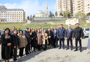 Yasamal rayonda ağacəkmə aksiyası keçirilib FOTOLAR