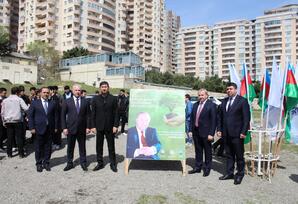 Yasamal rayonda ağacəkmə aksiyası keçirilib FOTOLAR