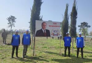 Tərtərdə ağacəkmə aksiyası keçirilib FOTOLAR