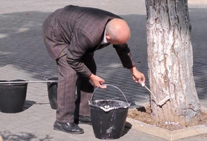 YAP Şuşa rayon təşkilatının inzibati binasının həyətində iməcilik keçirilib FOTOLAR