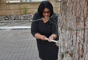 YAP Şuşa rayon təşkilatının inzibati binasının həyətində iməcilik keçirilib FOTOLAR