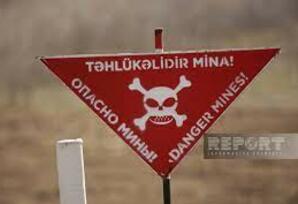 MİNA TERRORU: Azərbaycan öz torpağında qurban verir TƏHLİL+ANALİZ