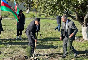 Xızıda ağacəkmə aksiyası keçirilib FOTOLAR