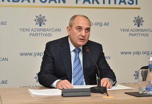 YAP-ın təşkilatçılığı ilə onlayn formatda beynəlxalq konfrans keçirilib  - FOTOLAR