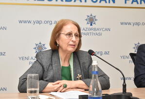 YAP-ın təşkilatçılığı ilə onlayn formatda beynəlxalq konfrans keçirilib  - FOTOLAR