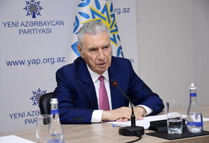 YAP-ın təşkilatçılığı ilə onlayn formatda beynəlxalq konfrans keçirilib  - FOTOLAR