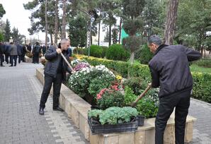 Biləsuvarda “Heydər Əliyev ili” çərçivəsində iməcilik keçirildi FOTOLAR