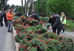 Biləsuvarda “Heydər Əliyev ili” çərçivəsində iməcilik keçirildi FOTOLAR