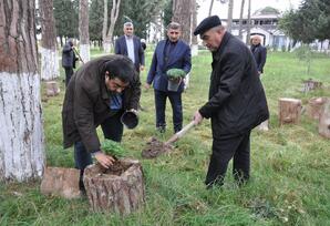 Biləsuvarda “Heydər Əliyev ili” çərçivəsində iməcilik keçirildi FOTOLAR
