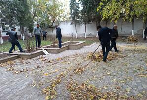 Kürdəmirdə ağacəkmə aksiyası keçirilib FOTOLAR