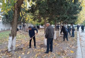 Kürdəmirdə ağacəkmə aksiyası keçirilib FOTOLAR