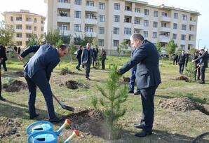Kürdəmirdə ağacəkmə aksiyası keçirilib FOTOLAR