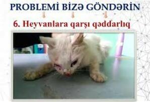 365-in tək bu günü...