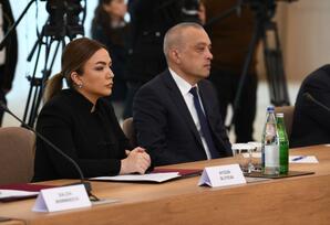 COP29 ilə əlaqədar Təşkilat Komitəsinin ilk iclası keçirilib