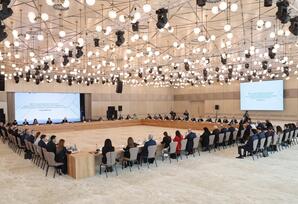 COP29 ilə əlaqədar Təşkilat Komitəsinin ikinci iclası keçirilib